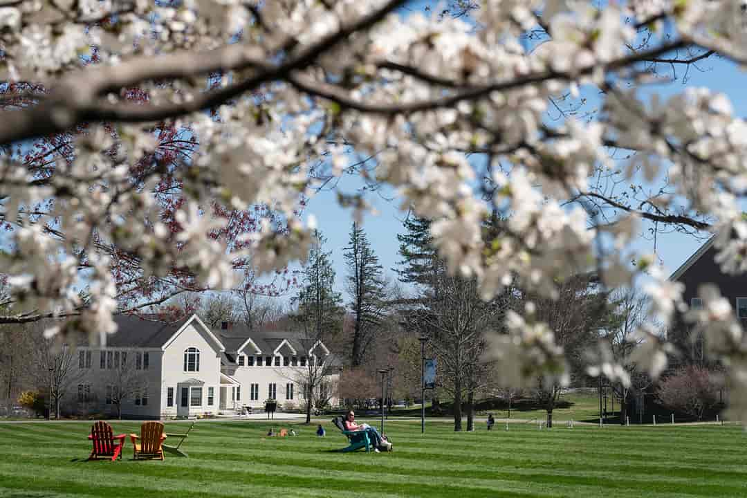 College campus landscape framed with blossoms
