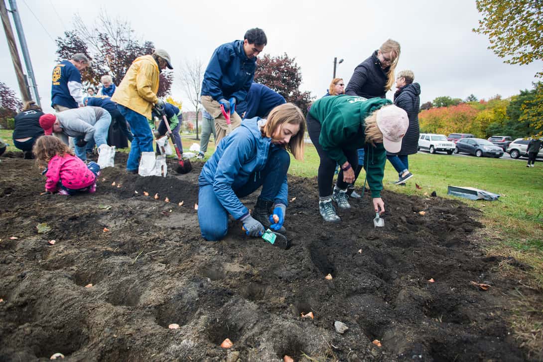 Alex Heisler ’21 joins other community activists as they plant tulip bulbs near Waterville's Head of Falls in October.