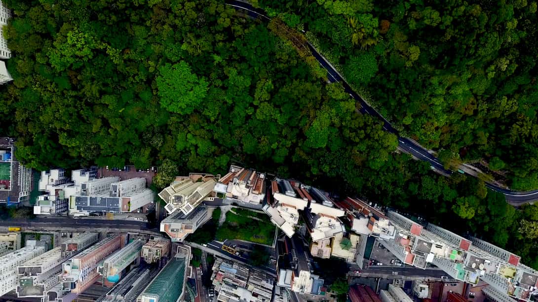 Edge of urban area and forest seen from the air