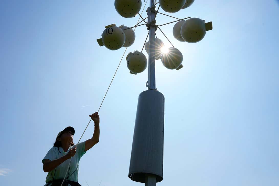 A person silhouetted against the sun uses a rope system to lower bird houses.