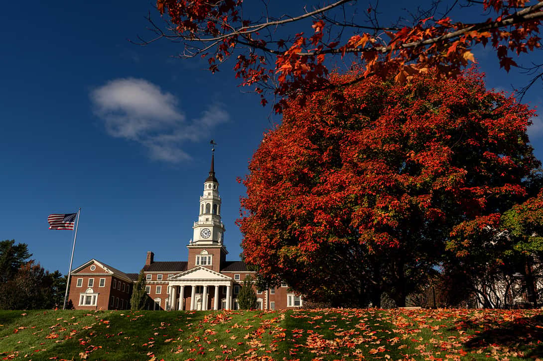 Fall colors