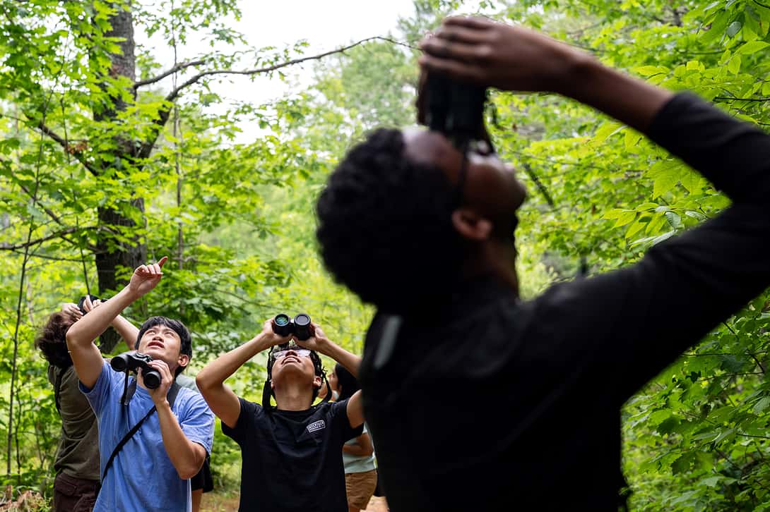 College students looking at bird with binoculars