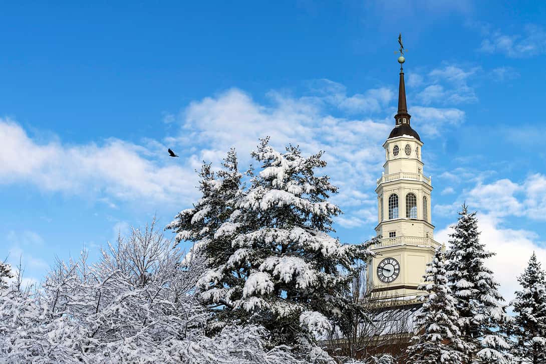 Library tower and trees with snow