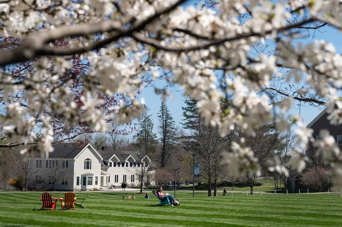 College campus landscape framed with blossoms