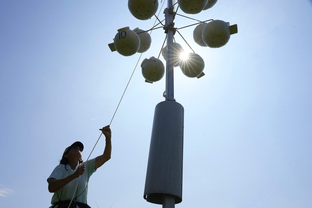 A person silhouetted against the sun uses a rope system to lower bird houses.