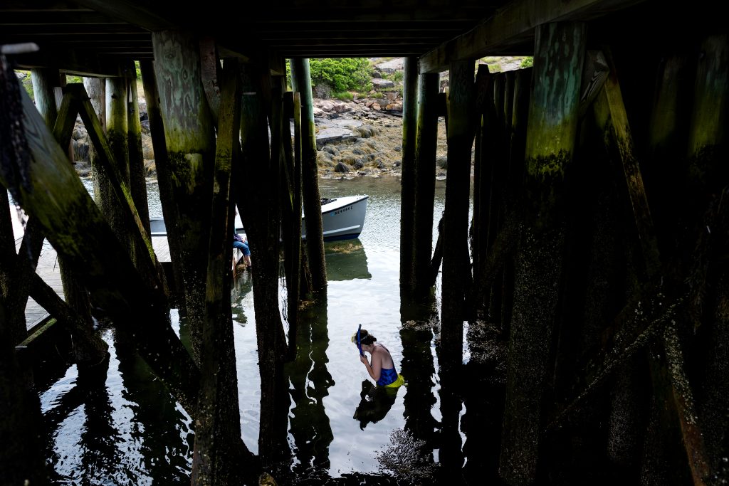 A woman snorkeling underneath a dock