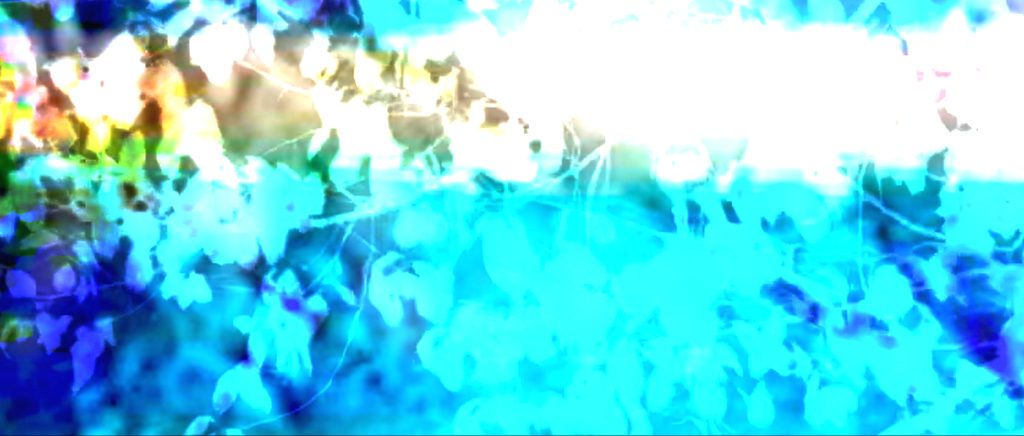 Image of leaves with color filters over them