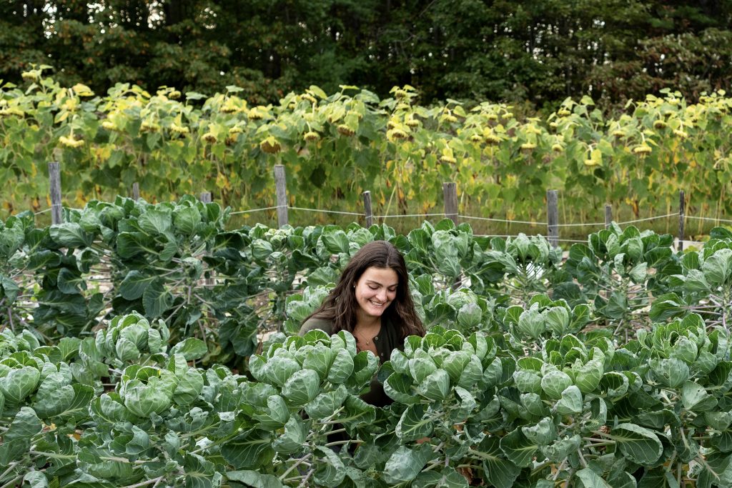 A student smiles while harvesting Brussels sprouts at Colby's organic garden. 