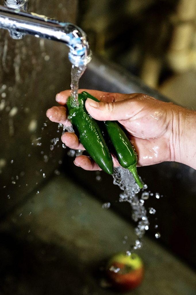 A person holds hot peppers under a stream of water at Colby's organic garden. 