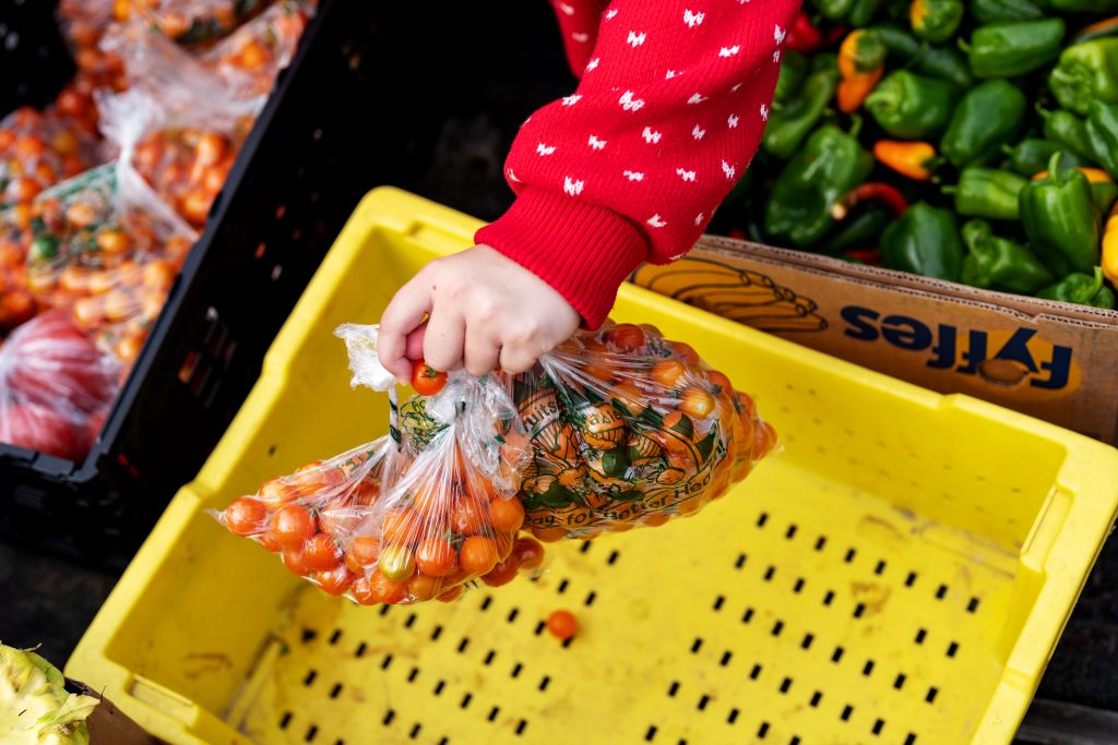 A person picks up bagfuls of cherry tomatoes grown at Colby's organic garden. 
