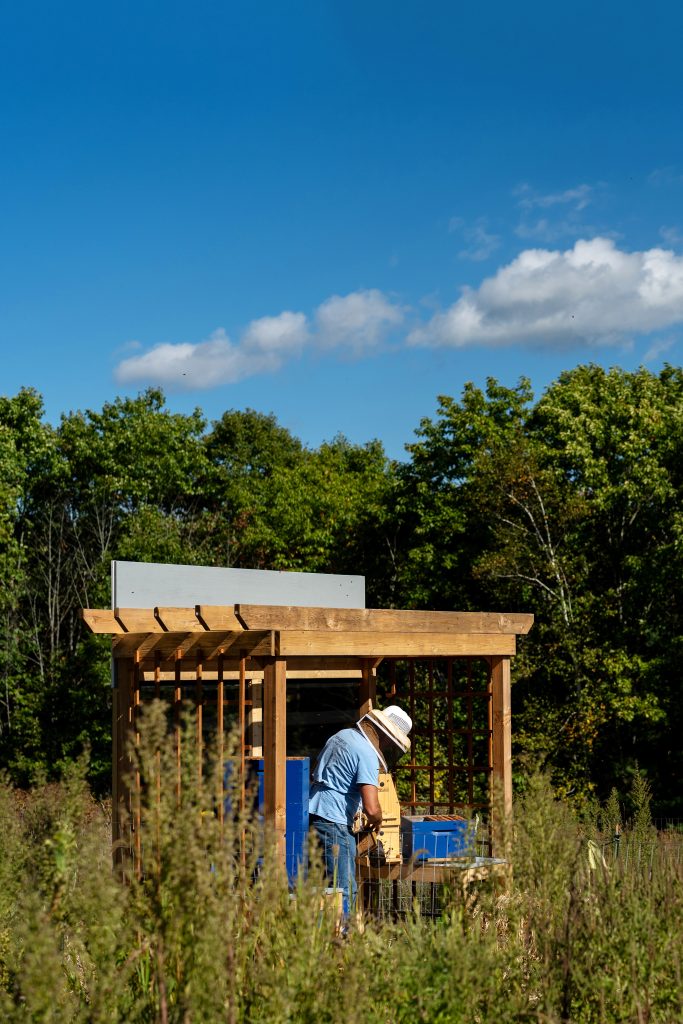 A person wearing protective beekeeper clothing checks a hive. 