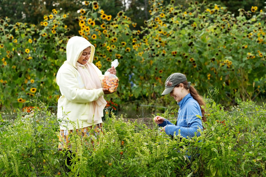 Two people standing in a patch of plants.