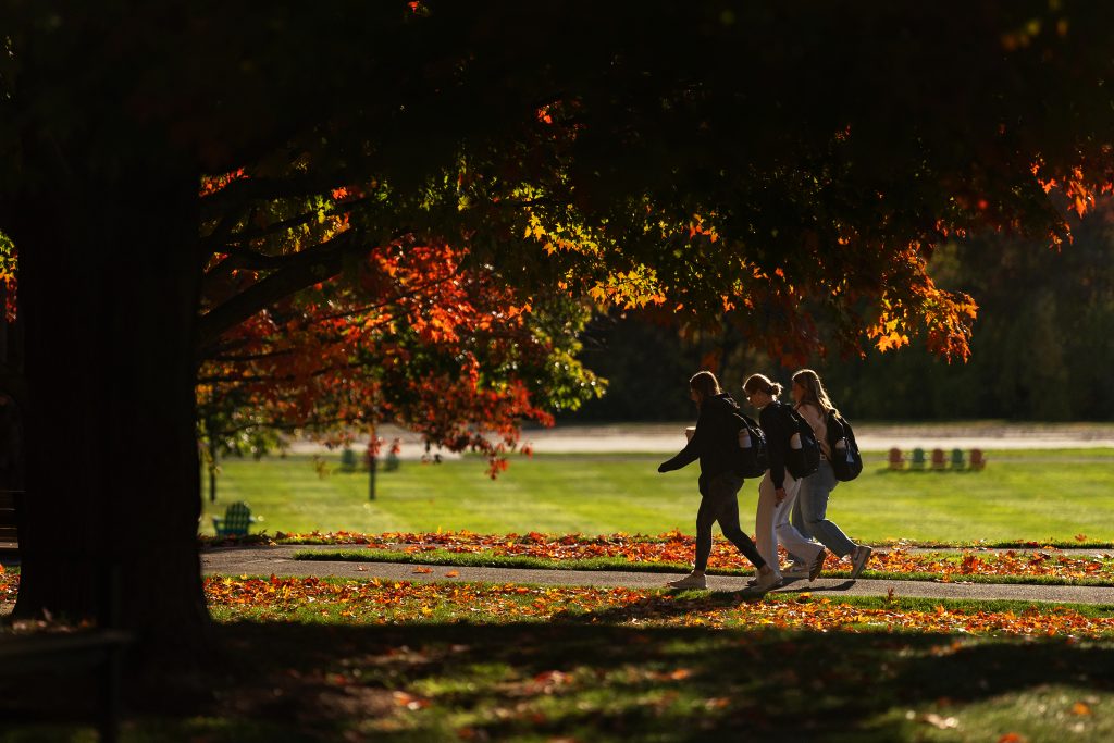 A group of students walk down a path with autumn foliage in the background.