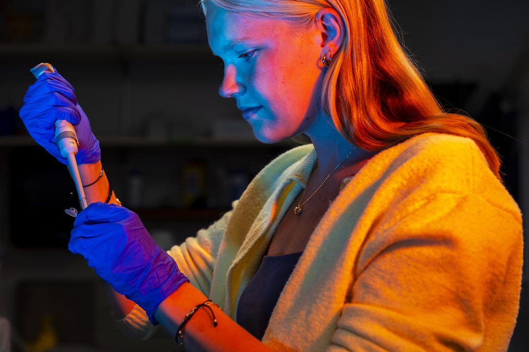 A student works on science research.