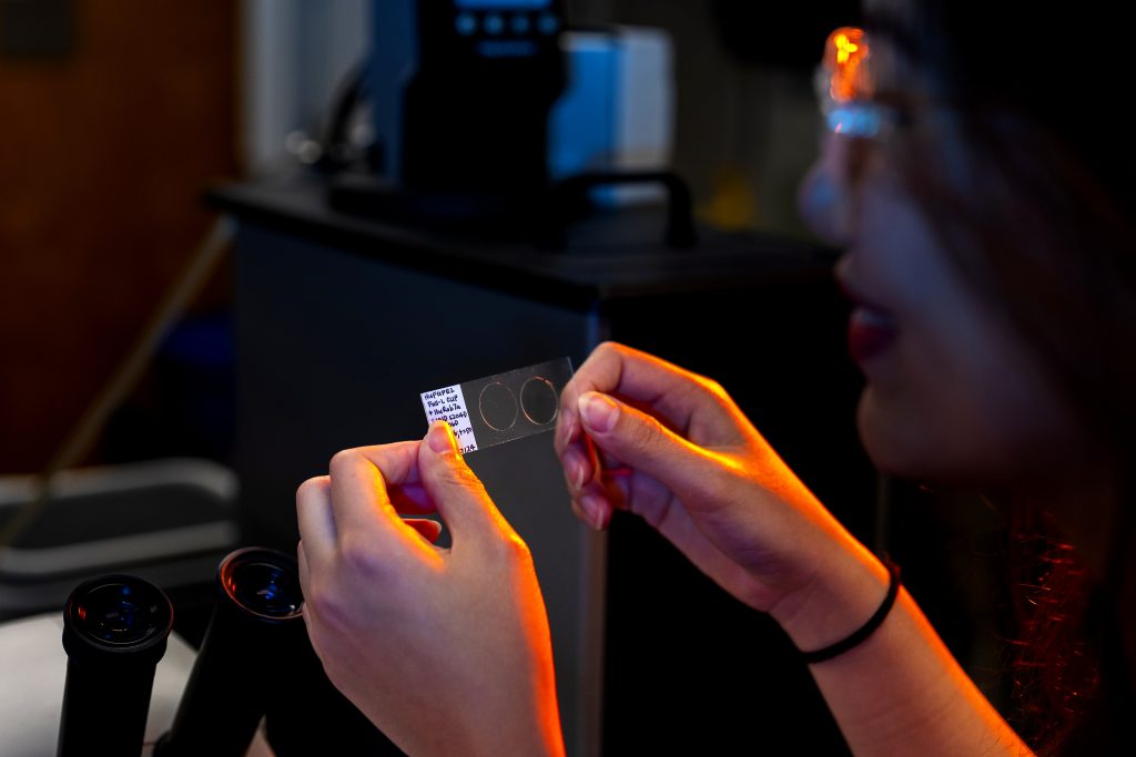 A student looks at a slide. 