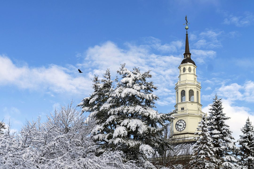 Library tower and trees with snow