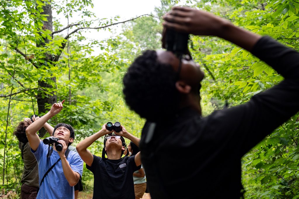 A group of people with binoculars in the forest look upward.