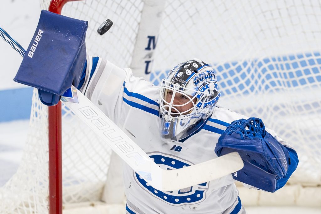 Hockey goalie raising stick.