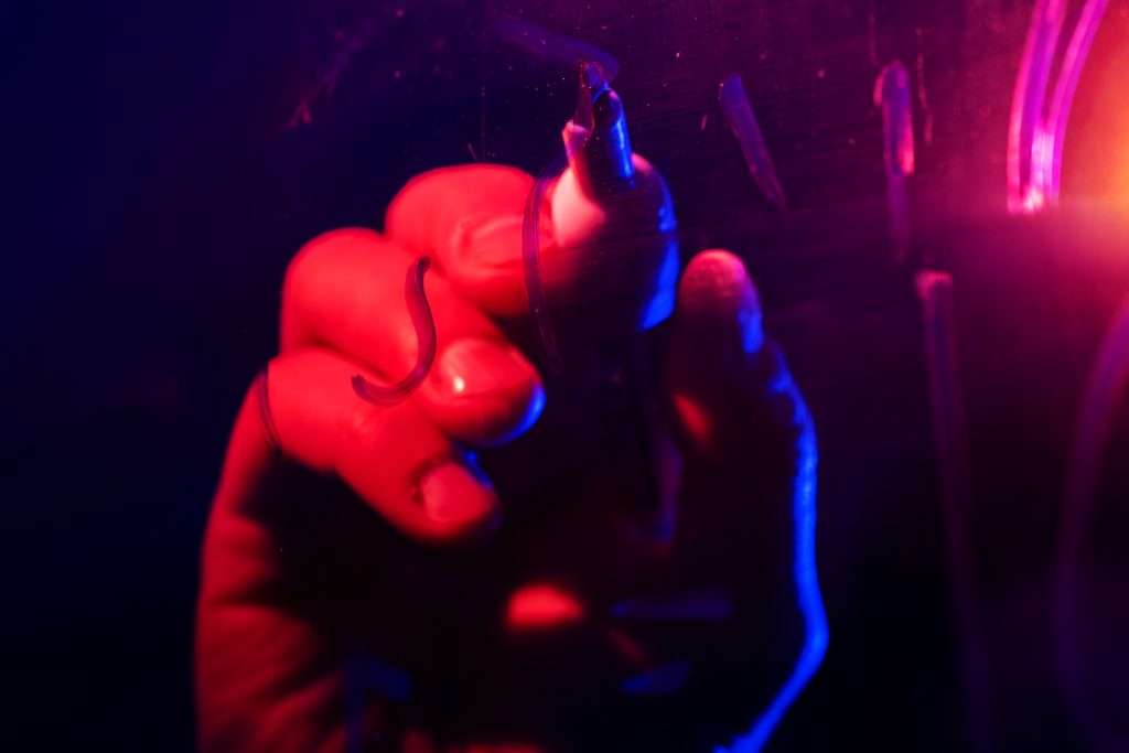 A hand writes something on a surface.