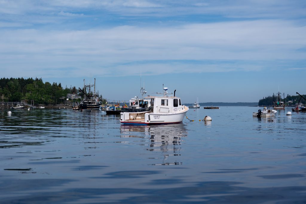 Fishing boats at anchor.