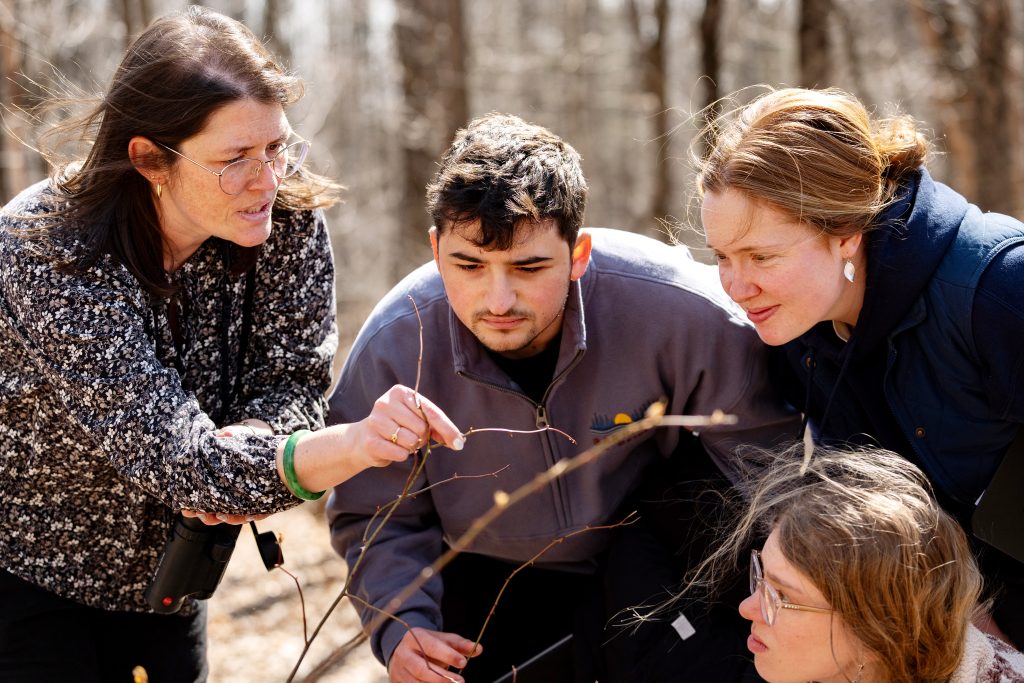 A professor shows a plant to three students.