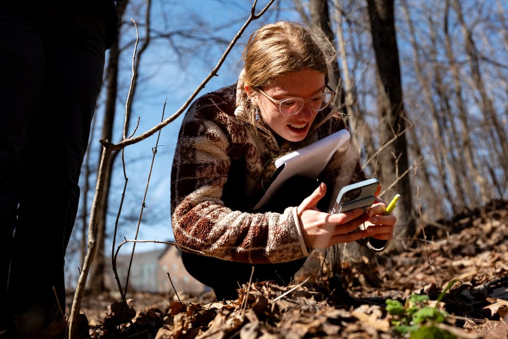 A student identifies a plant.