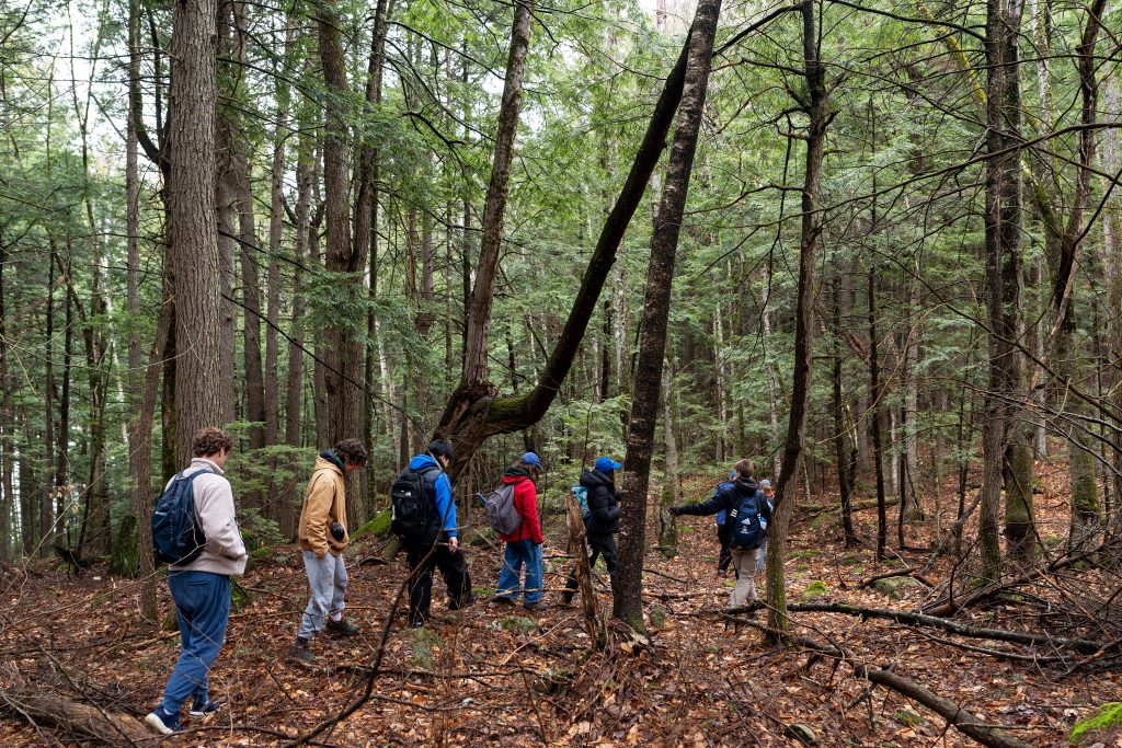 Students walk through a forest.