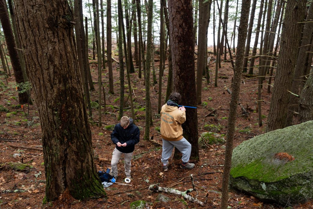 Students work in a forest.