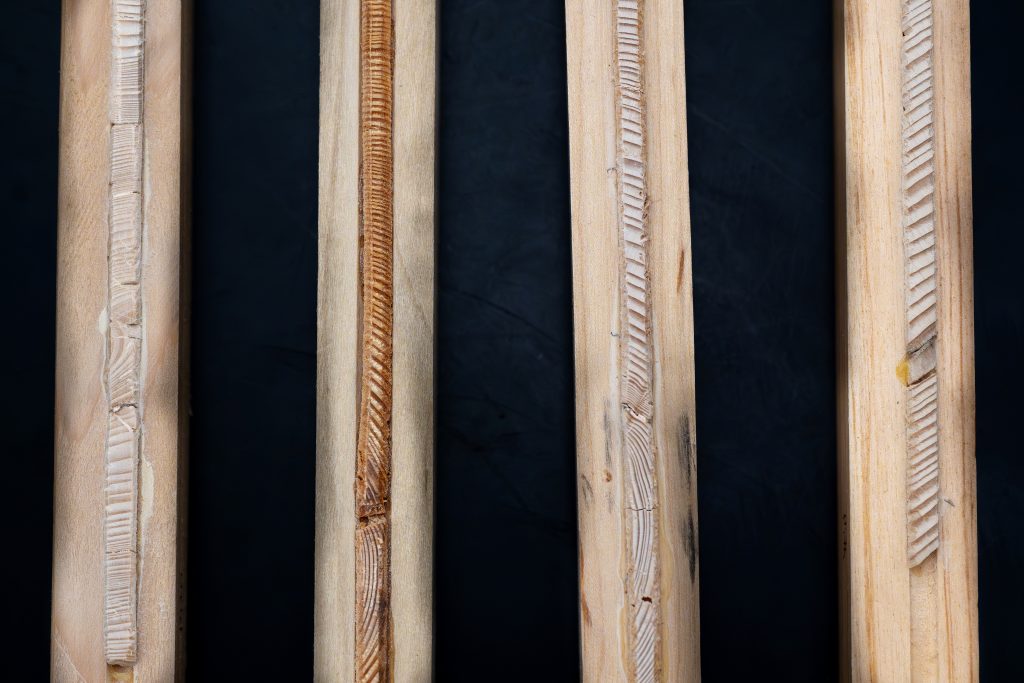 Sanded tree core samples.