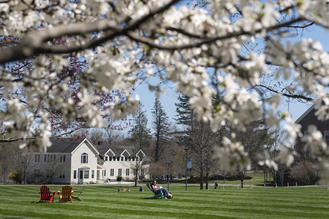College campus landscape framed with blossoms