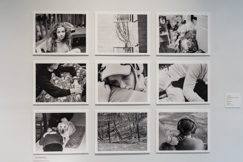 A photo series that is part of the Senior Art Exhibition 2026.
