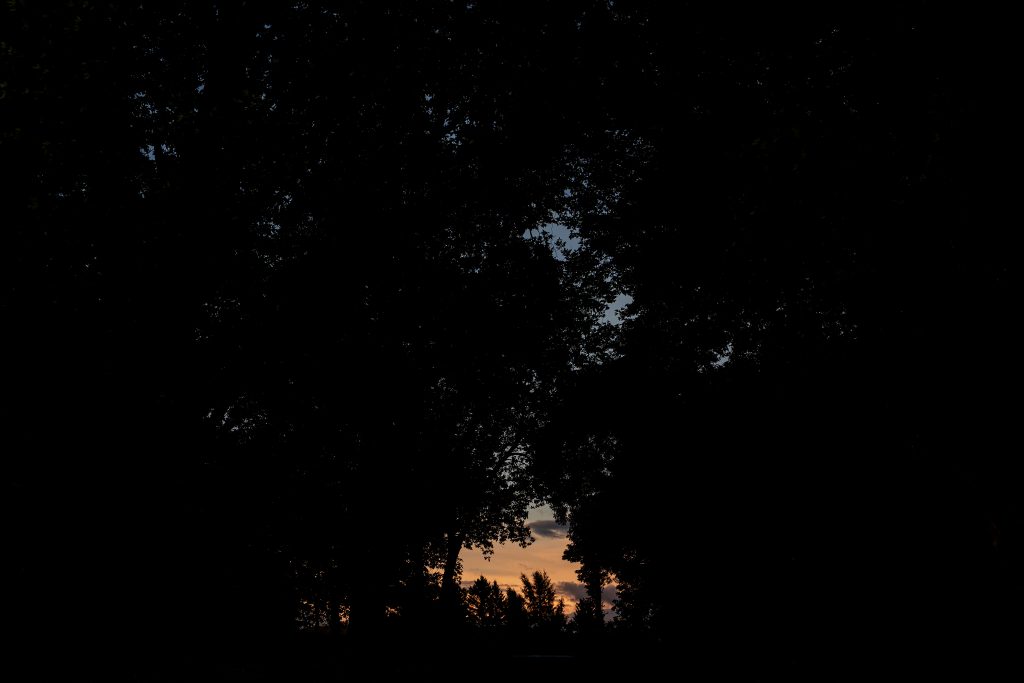 A sunset photo