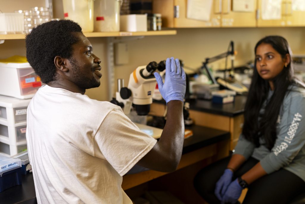Two students at work in a lab.