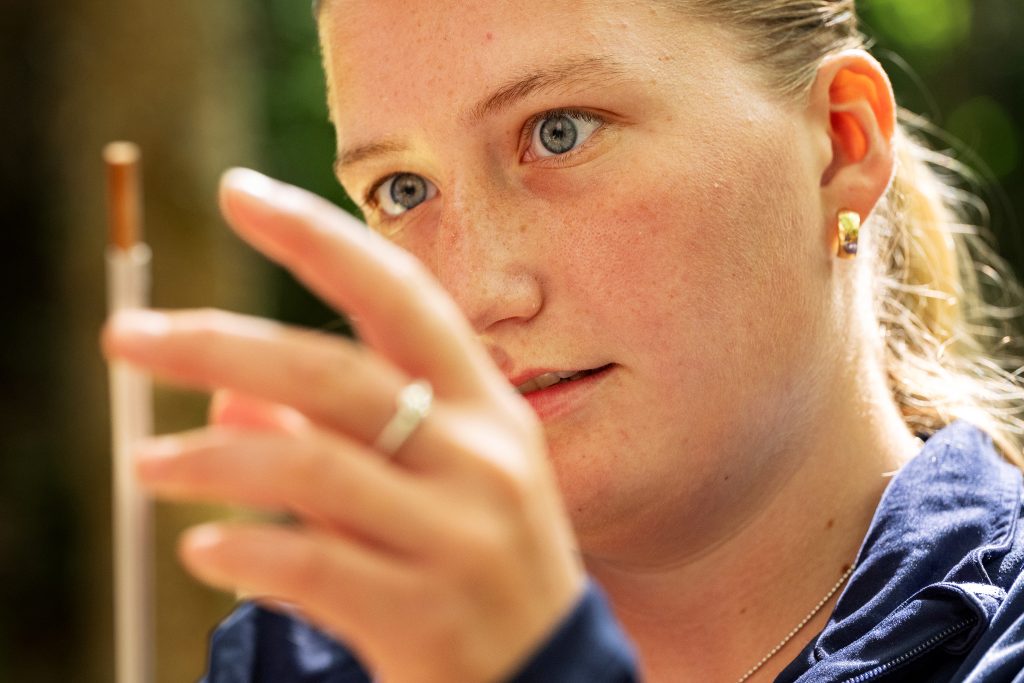 A student puts a tree core sample in a paper straw. 