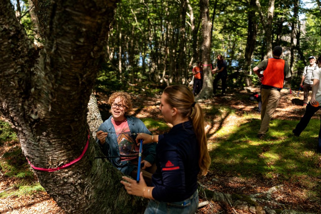 Students measure a tree. 